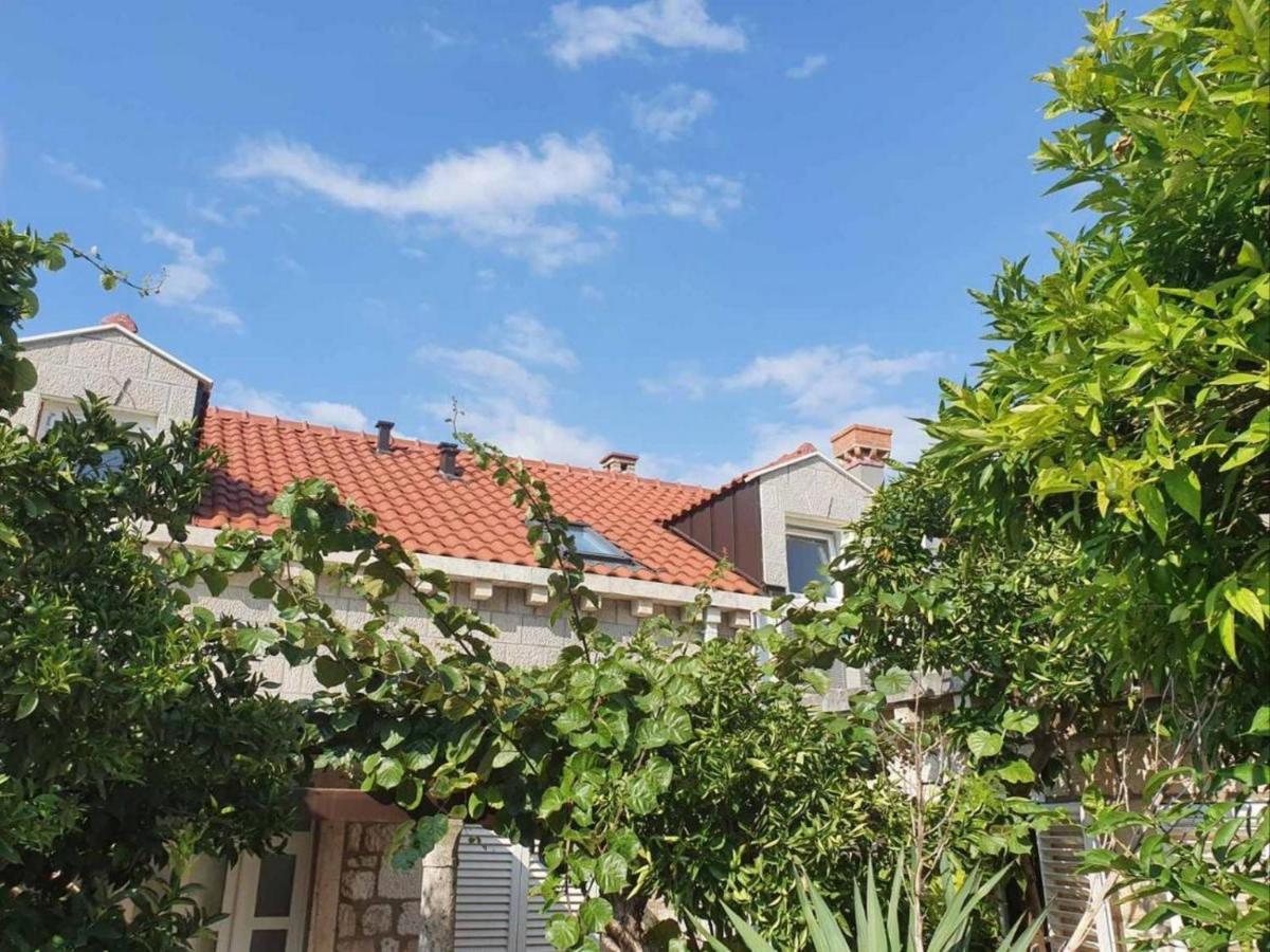 Apartmán Dubrovnik Tirena Exteriér fotografie